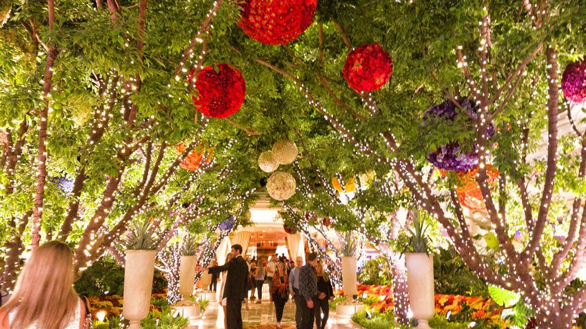 Testimonio de Betcoin Casino 2026